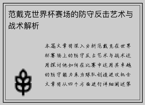 范戴克世界杯赛场的防守反击艺术与战术解析