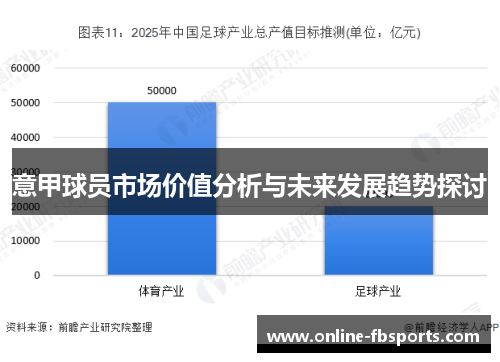 意甲球员市场价值分析与未来发展趋势探讨