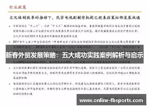 新春外贸发展策略：五大成功实践案例解析与启示