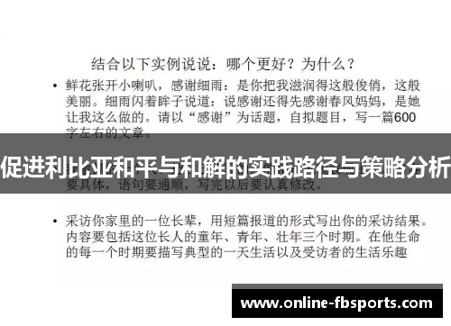 促进利比亚和平与和解的实践路径与策略分析