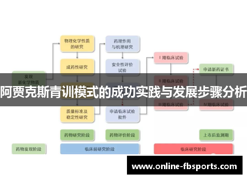 阿贾克斯青训模式的成功实践与发展步骤分析